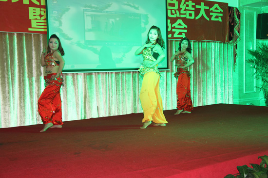 集团2012年年会暨迎春晚会