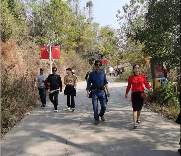 越秀野外拓展活动 | “全员团建·活力无限”